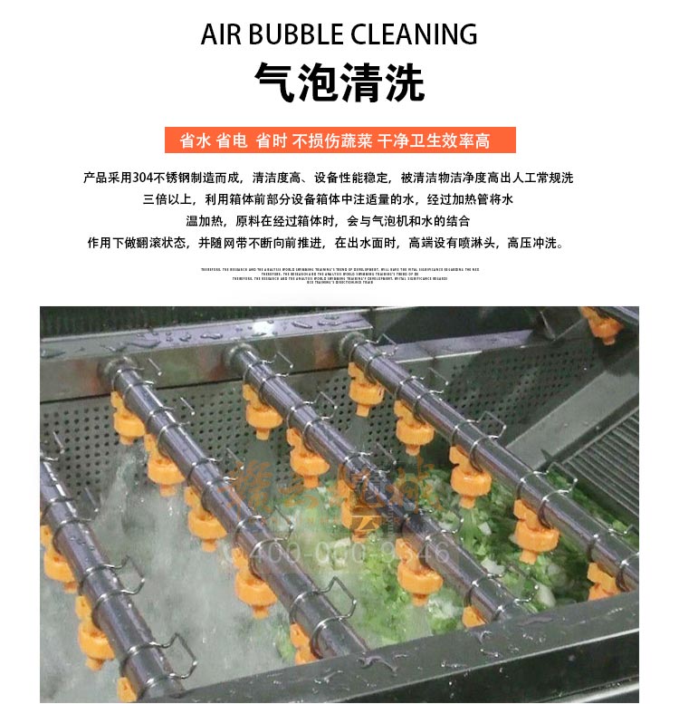水產(chǎn)公司洗魚的機器 全自動氣泡清洗機(圖2)