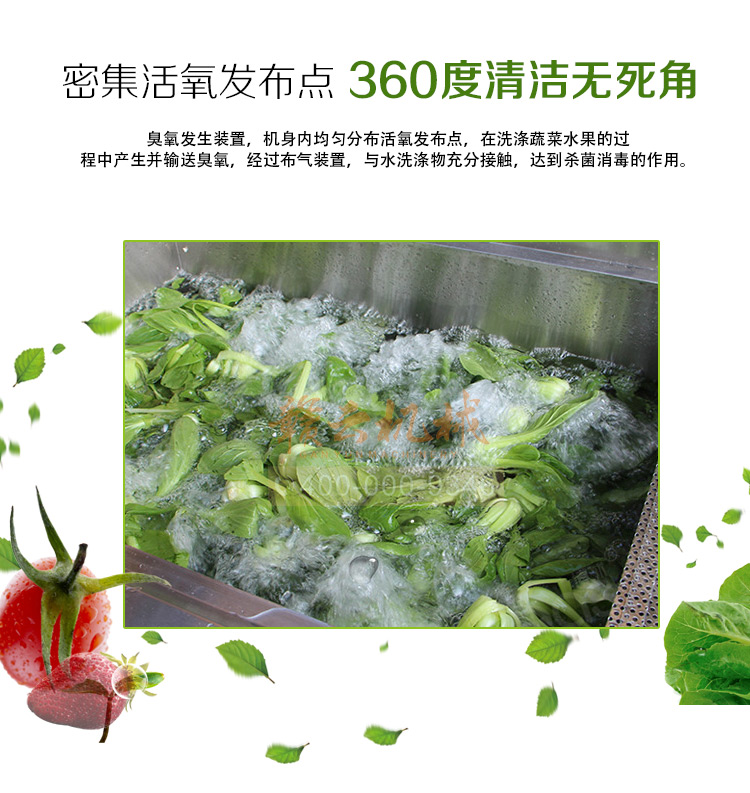 酒店食堂事業(yè)單位學(xué)校食堂用的清洗消毒洗菜機(圖3)