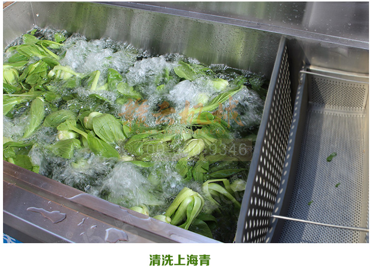酒店食堂事業(yè)單位學(xué)校食堂用的清洗消毒洗菜機(圖19)