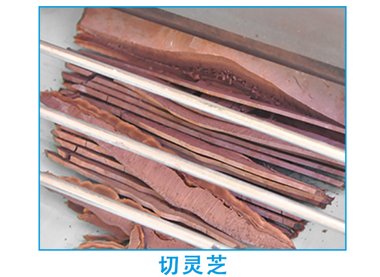 福建廣東靈芝切片機，切靈芝機器廠家直銷(圖4)